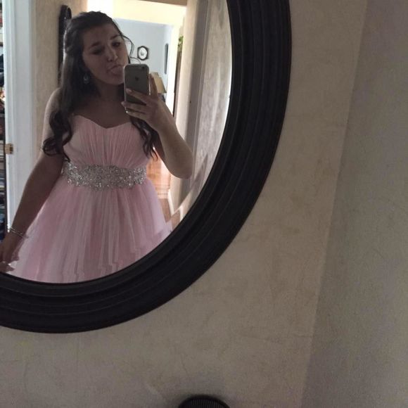 Meet your Posher, Riley - Picture 1 of 1